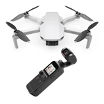 DJI Mini 2 + DJI Pocket 2