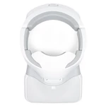 DJI Goggles