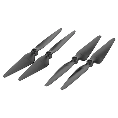 Set elice Parrot Bluegrass