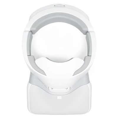 DJI Goggles