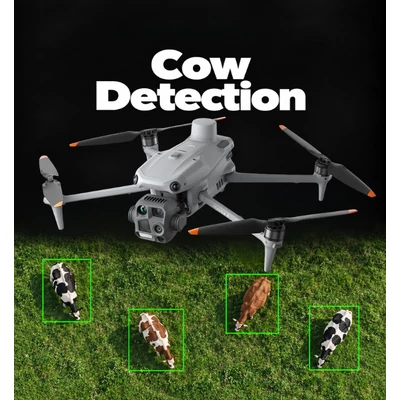 AI Algorithm - Cow Detection